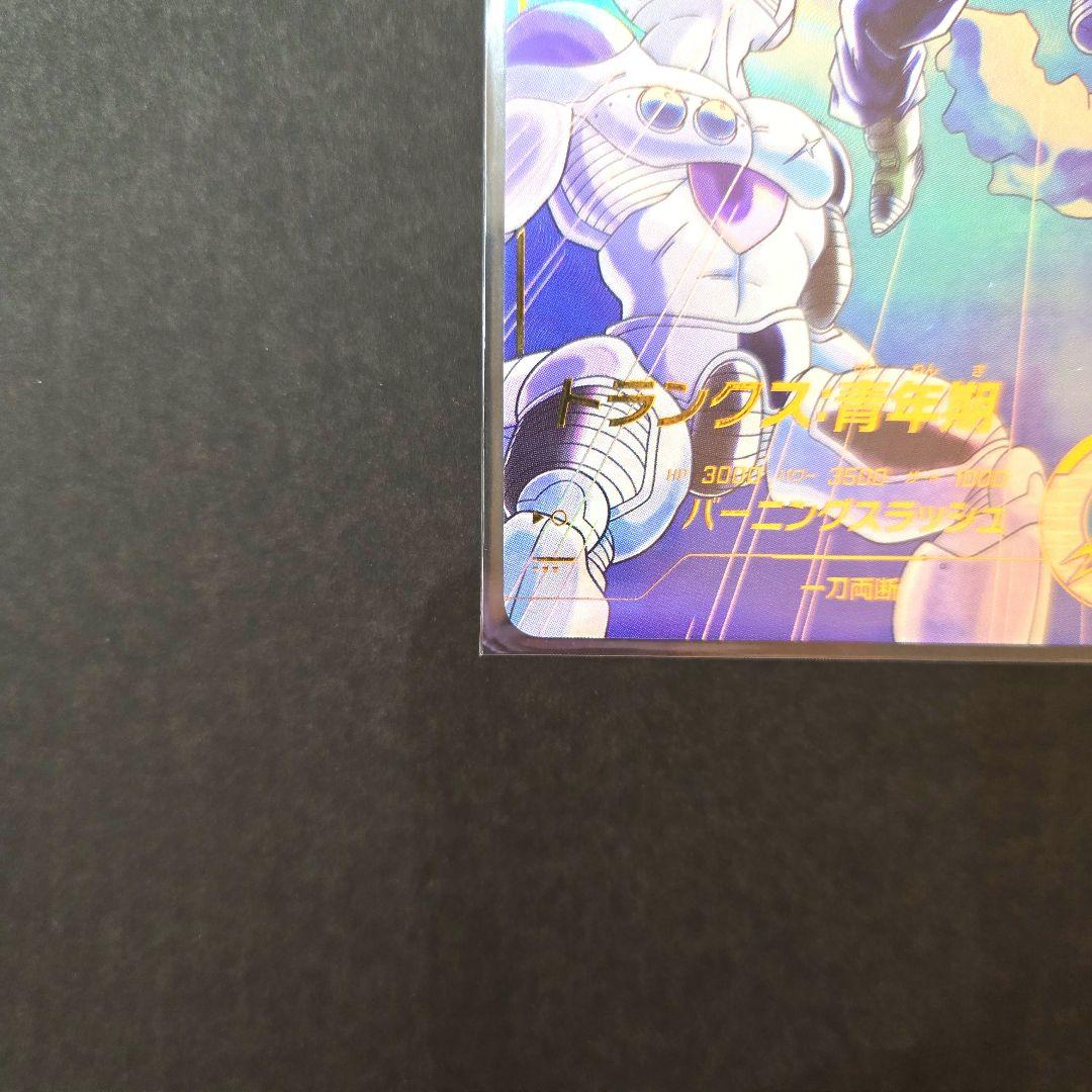 ※さーもん(プロフ必読)※トランクスパラレル