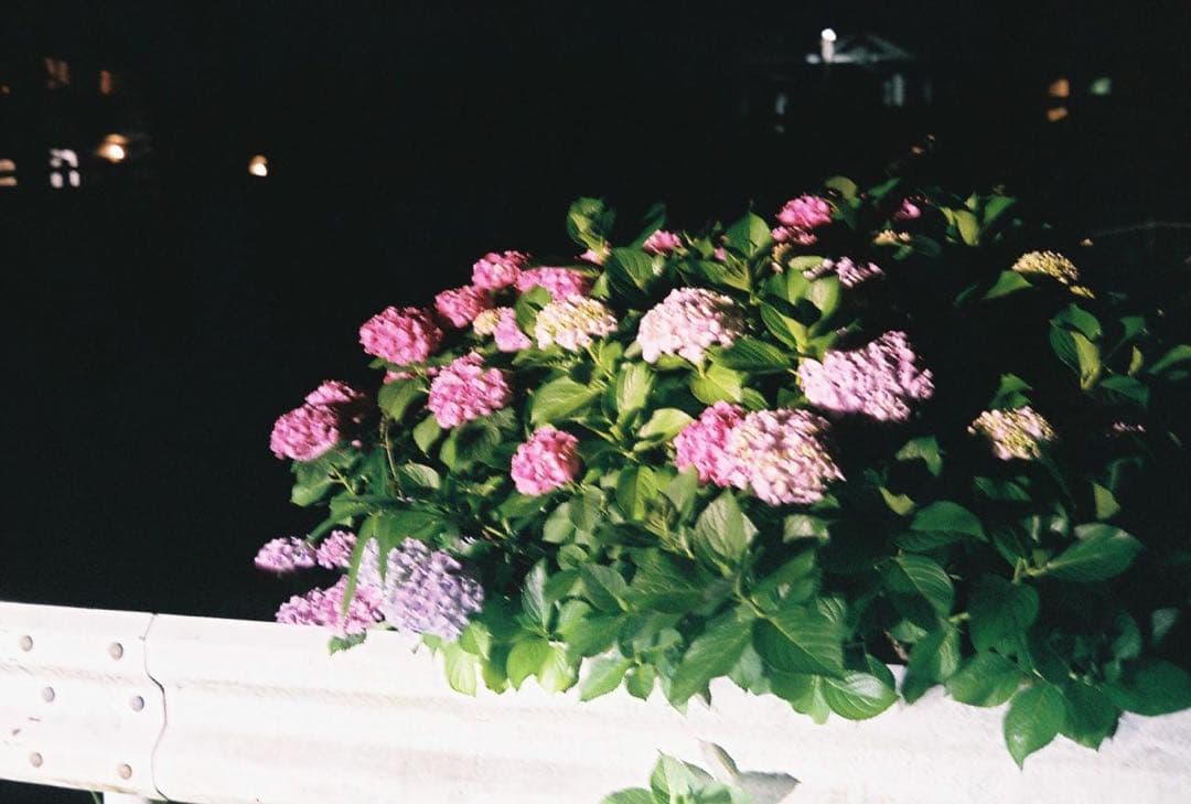 【動作確認済み】OLYMPUS 35DC フィルムカメラ 参考写真有り