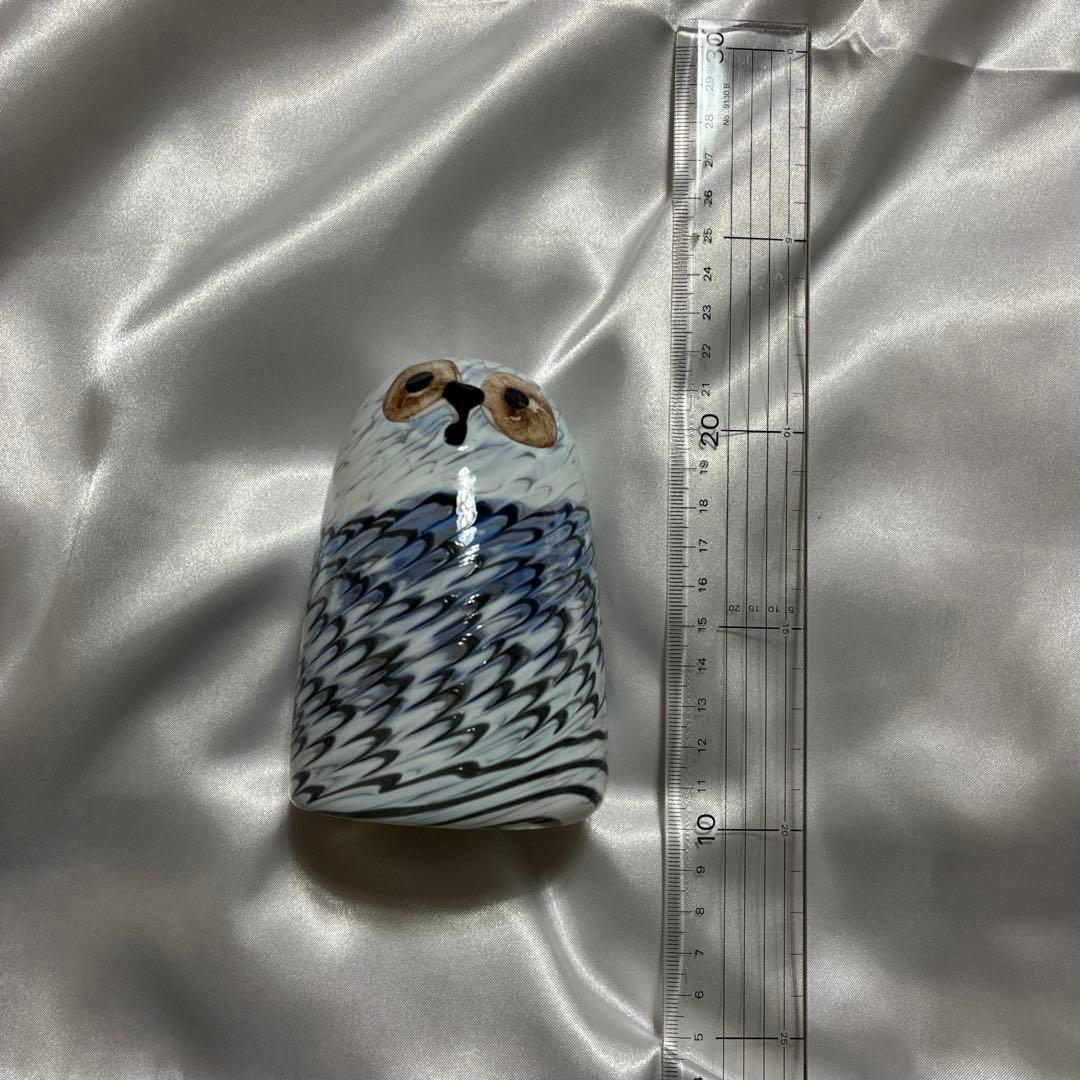  Lumi バード Owlet owl フクロウ