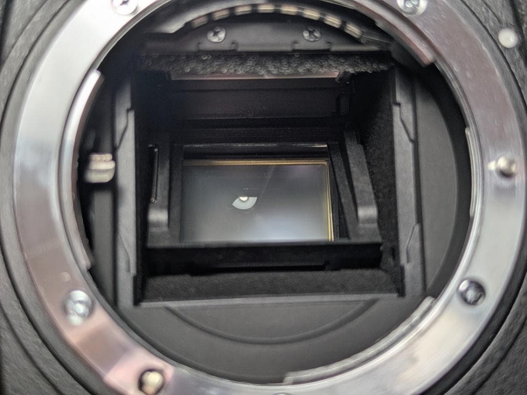 AF-S DX NIKKOR 18-200mm　本体セット　ニコン　nikon