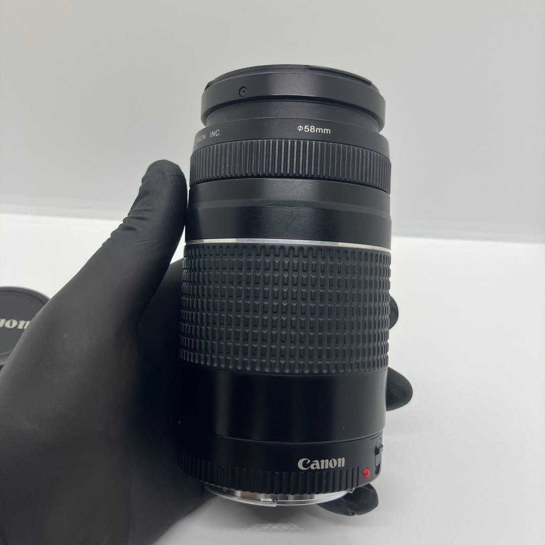 CANON ZOOM LENS EF 75-300 4-5.6 Ⅲ