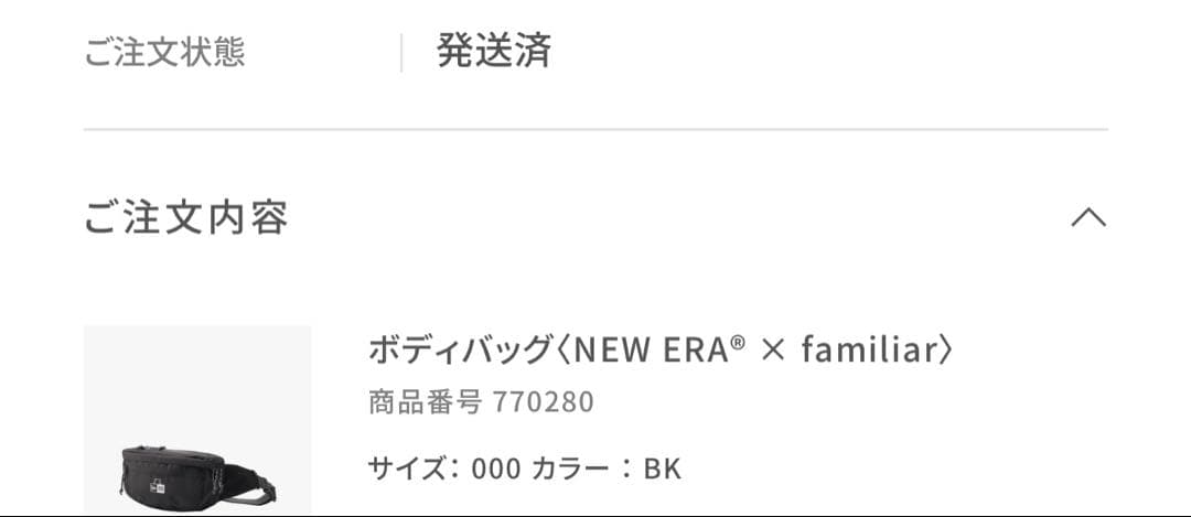 NEW ERA familiar コラボ ボディバッグ