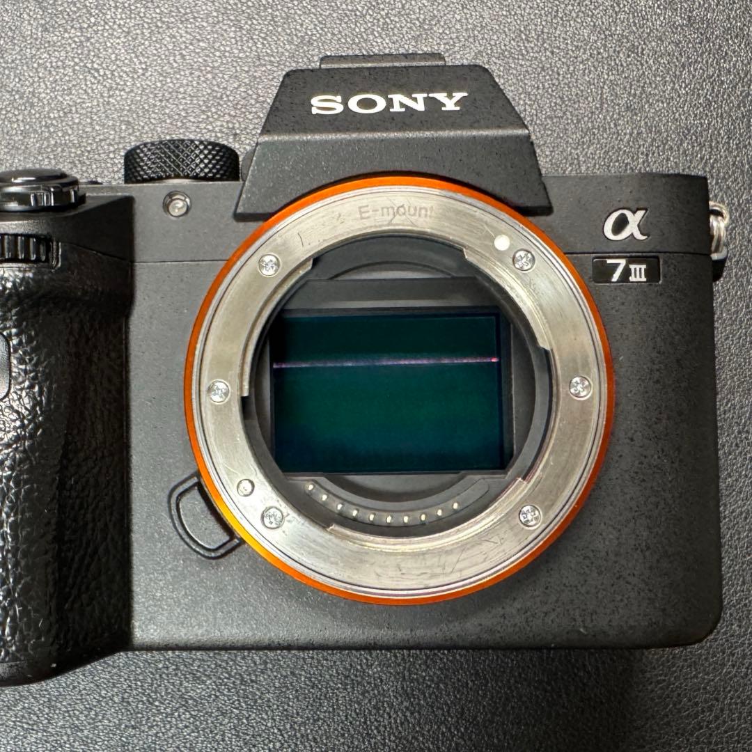 【美品】SONY α7 III（ILCE-7M3） [ボディ] おまけ付き