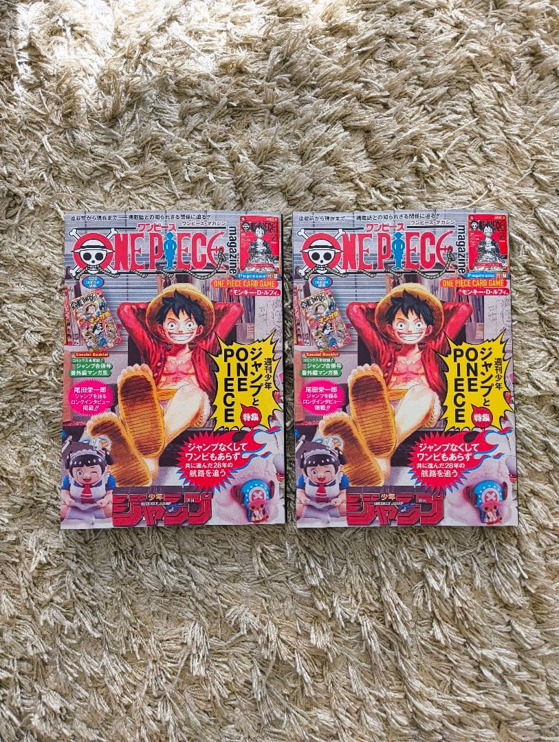 ワンピース　マガジン　20号　プロモ付き　2冊セット