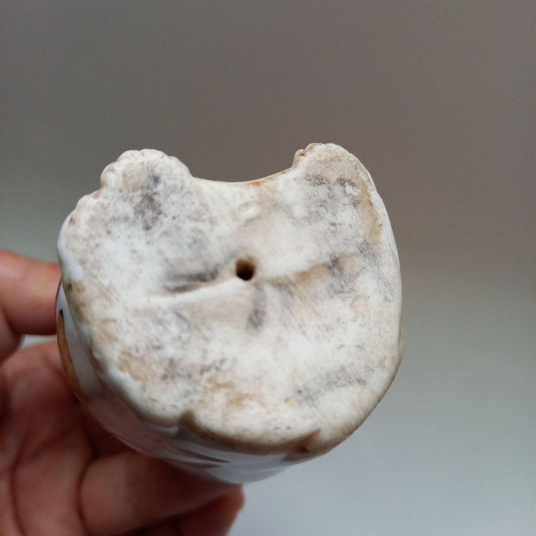 招き猫　磁器人形　猫の置物