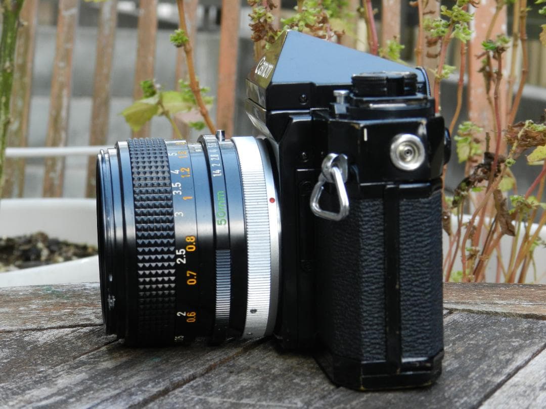 美品　Canon F-1+50mm 1.4 ssc S.S.C 即撮影可