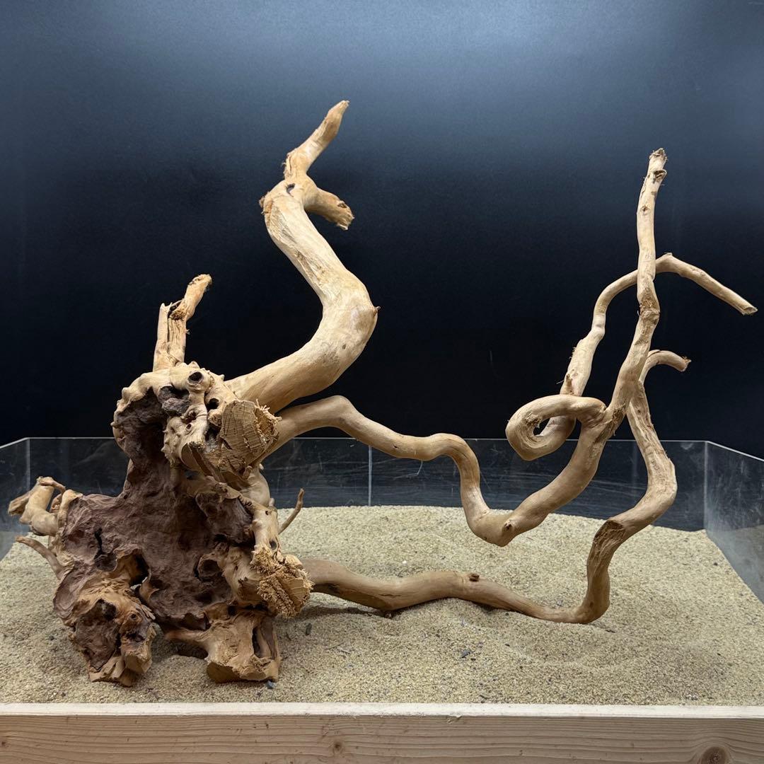 MDW-7000 特大ブランチウッド　流木　枝流木　アクアリウム