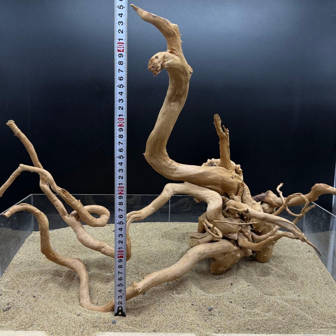 MDW-7000 特大ブランチウッド　流木　枝流木　アクアリウム