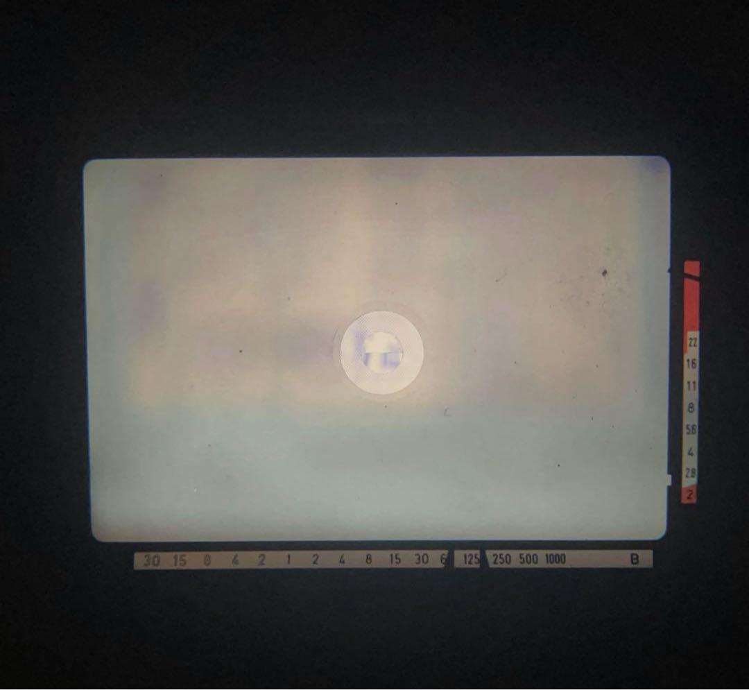 Canon 一眼レフカメラ