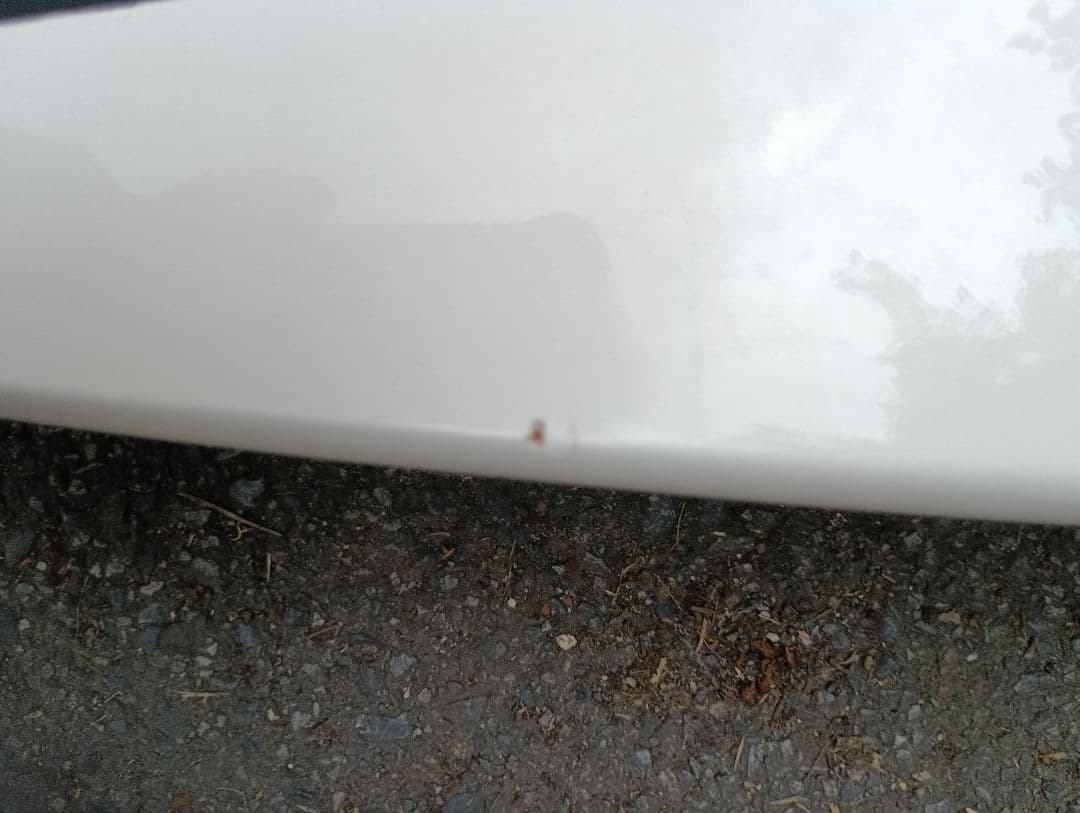 6.2サンタクルーズサーフボードパンプキン