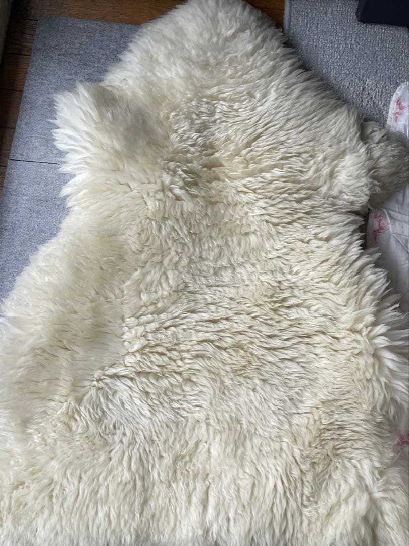 WINDWARD オーストラリア産　高級ムートン羊毛ラグ アイボリー　家庭洗濯可