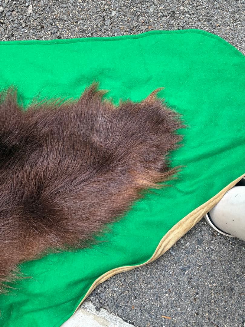 【punky綾さん専用です】ヒグマ　毛皮　熊　剥製