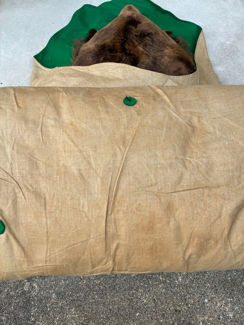 【punky綾さん専用です】ヒグマ　毛皮　熊　剥製