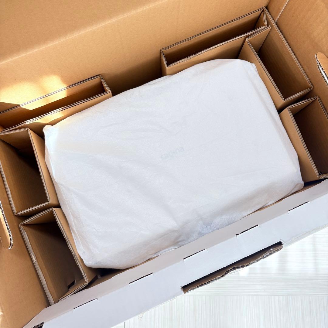 新品未使用 サキナ ルルシェ LEDライト無し 化粧品付き スチーマー