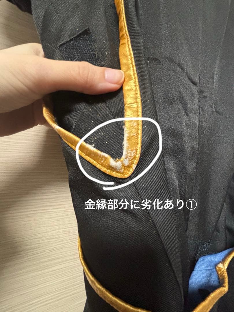 刀剣乱舞 獅子王 コスプレ衣装 ウィッグ付き