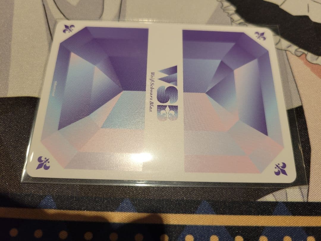 新たな物語のはじまり 箔押し タイカプ 敢闘賞 ヴァイスシュヴァルツブラウ