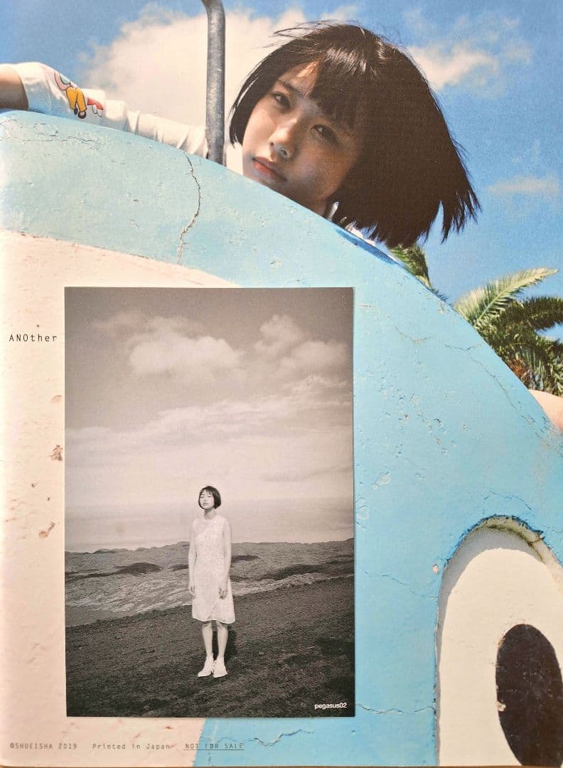 あのちゃん アナザーカット写真集 + Pegasus + ポストカード+ シール