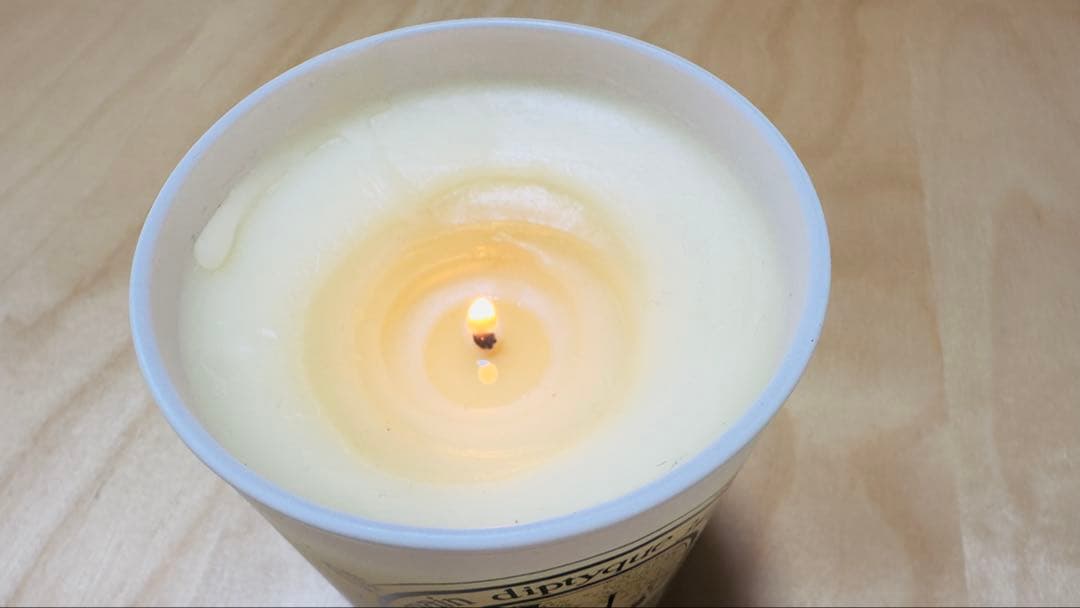 ミナペルホネン × diptyque コラボキャンドル 専用ポーチ セット