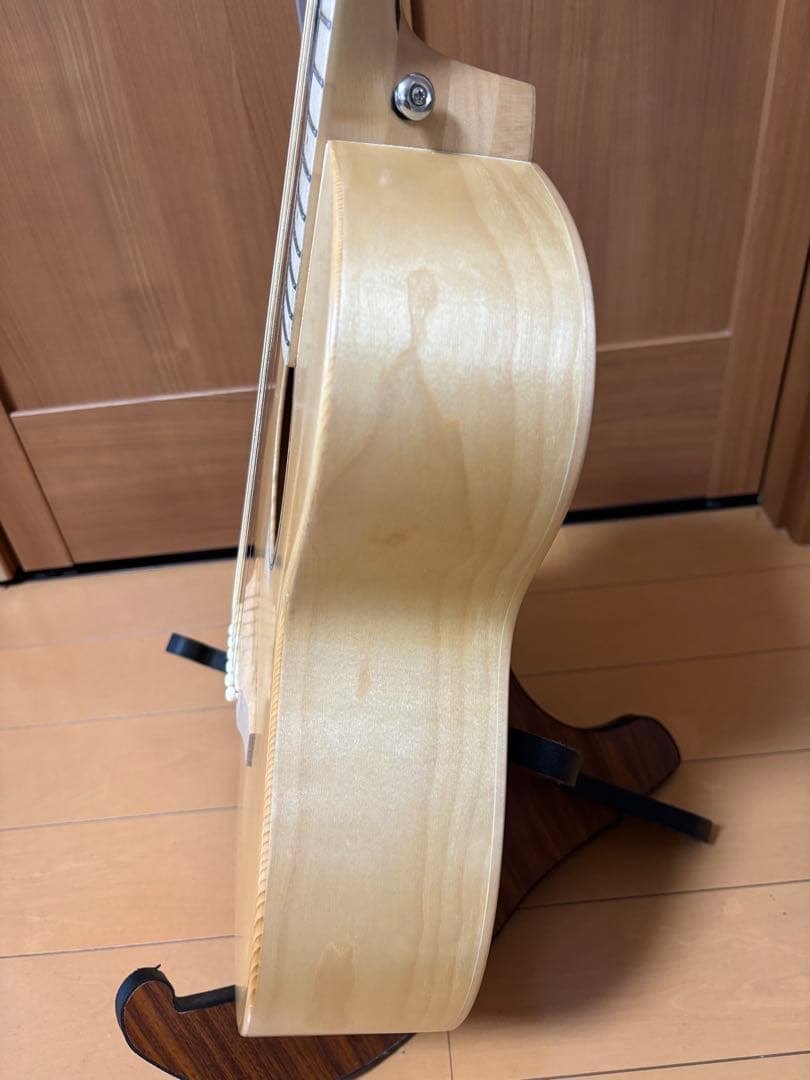 【み】NAGI Guitars shiro mini