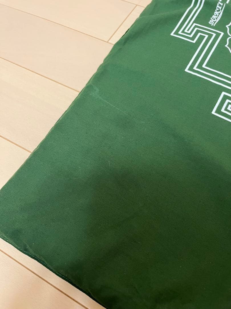 【正規品】シャクティマット　オリジナル　レベル2グリーン