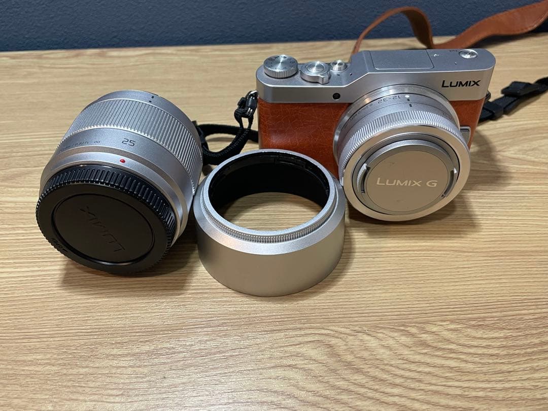 Panasonic DC-GF9W ミラーレスカメラ 4K動画