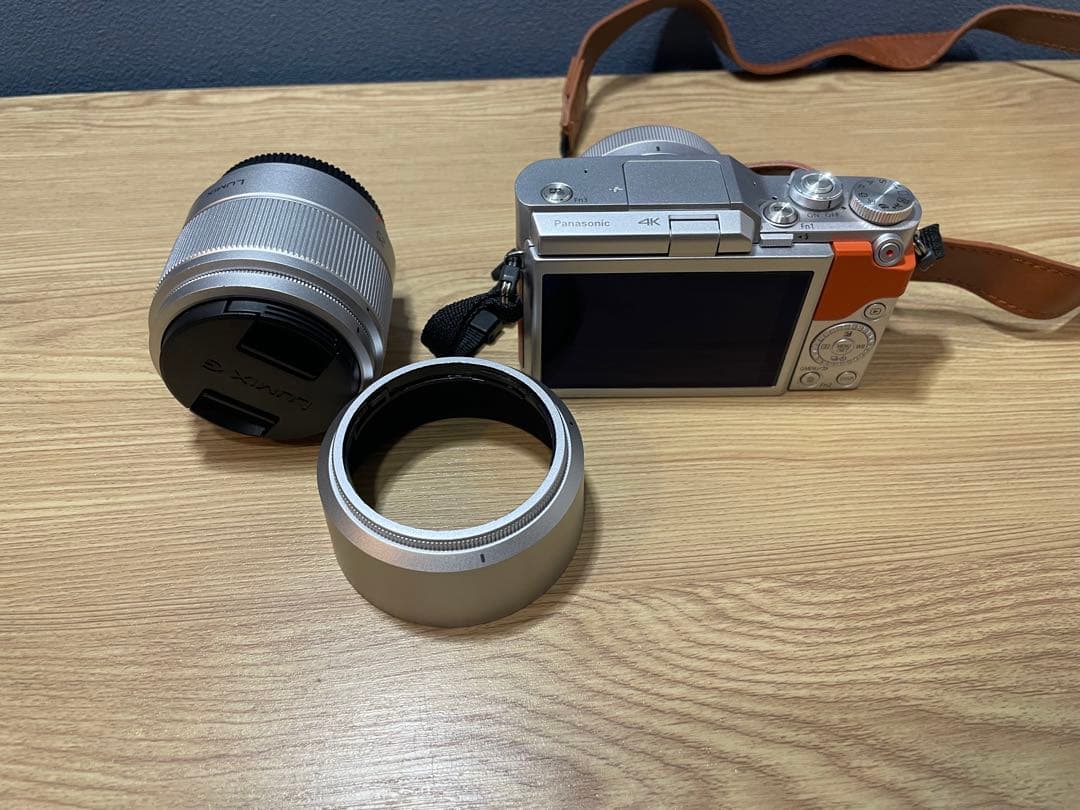 Panasonic DC-GF9W ミラーレスカメラ 4K動画