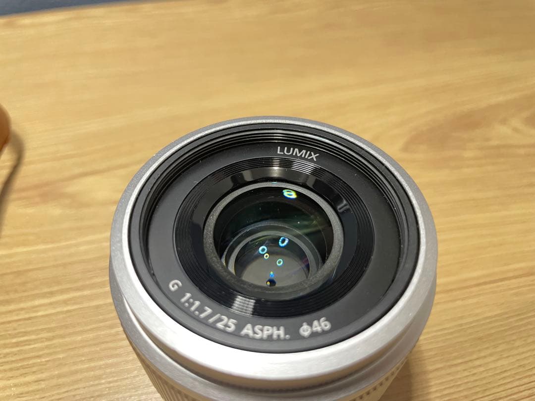 Panasonic DC-GF9W ミラーレスカメラ 4K動画