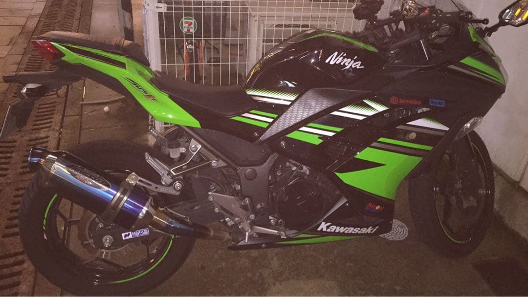 BEET JAPAN NASERT スリップオンマフラー Ninja250