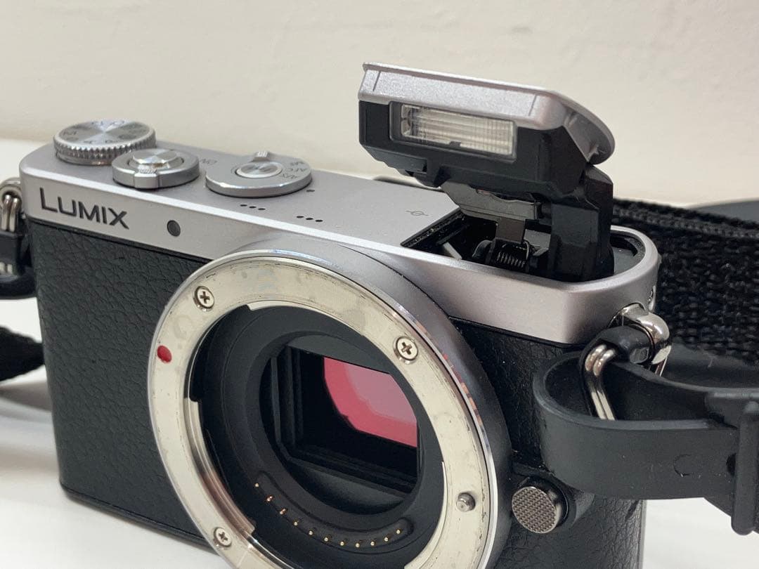 パナソニック　ルミックス　DMC-GM1 一眼レフ　レンズ　H-H025【①】