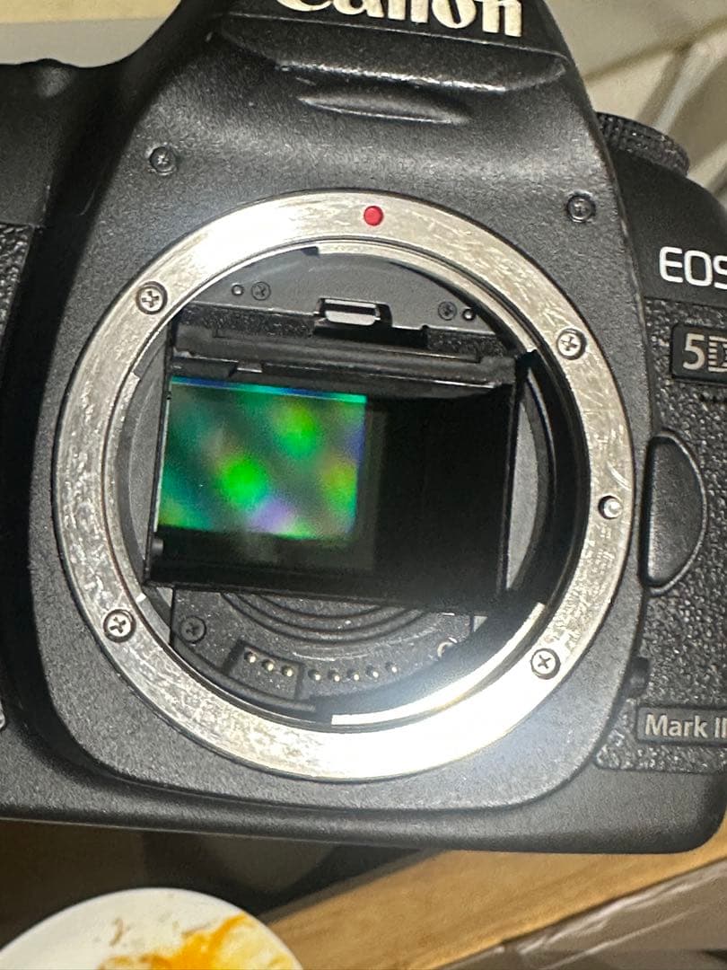 Canon EOS 5D mark2 デジタル一眼レフカメラ 本体と付属品