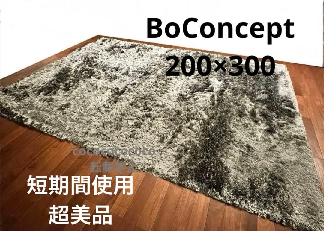 ボーコンセプト Lure シャギーラグ　200cm×300cm グレー　モダン