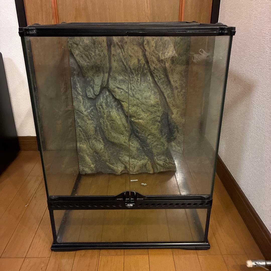 グラステラリウム4560