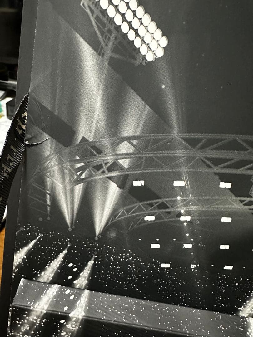 Taylor Swift Reputation tour限定VIPBOXサイン入