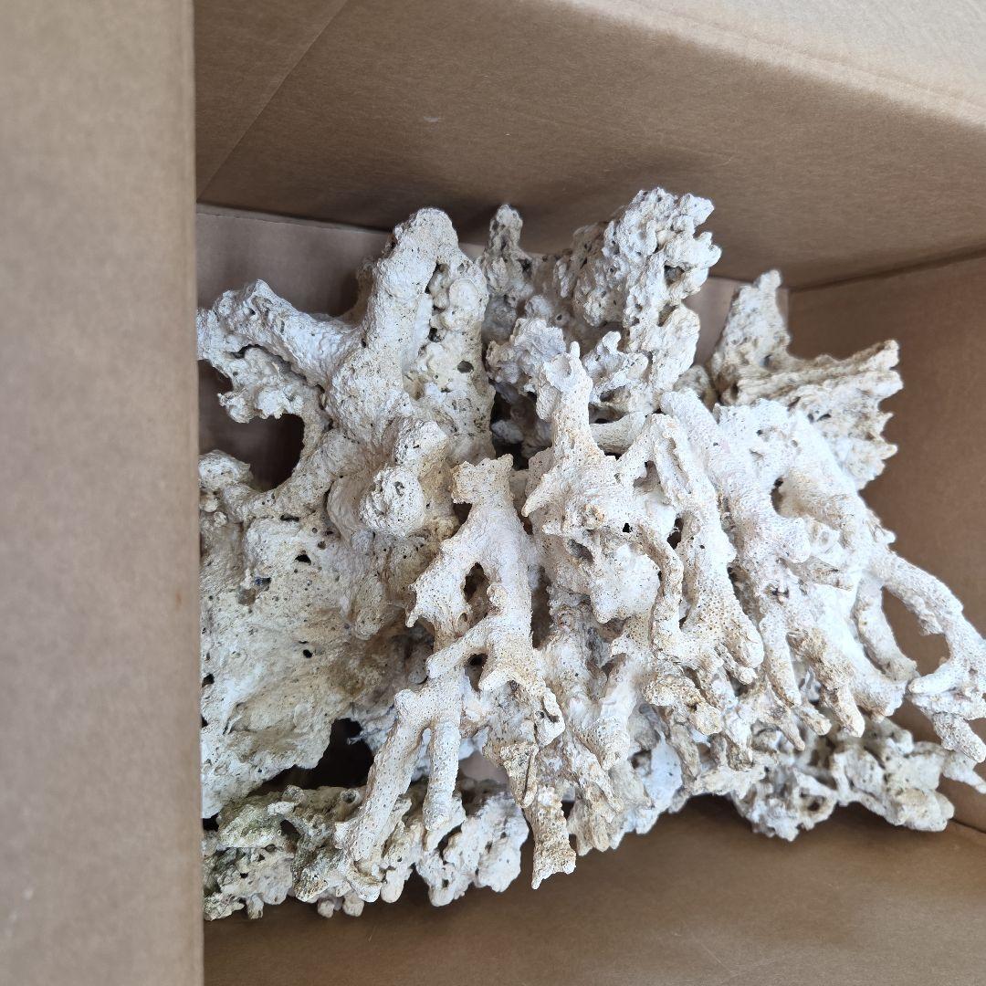 人工サンゴ コーラル型 水槽用石