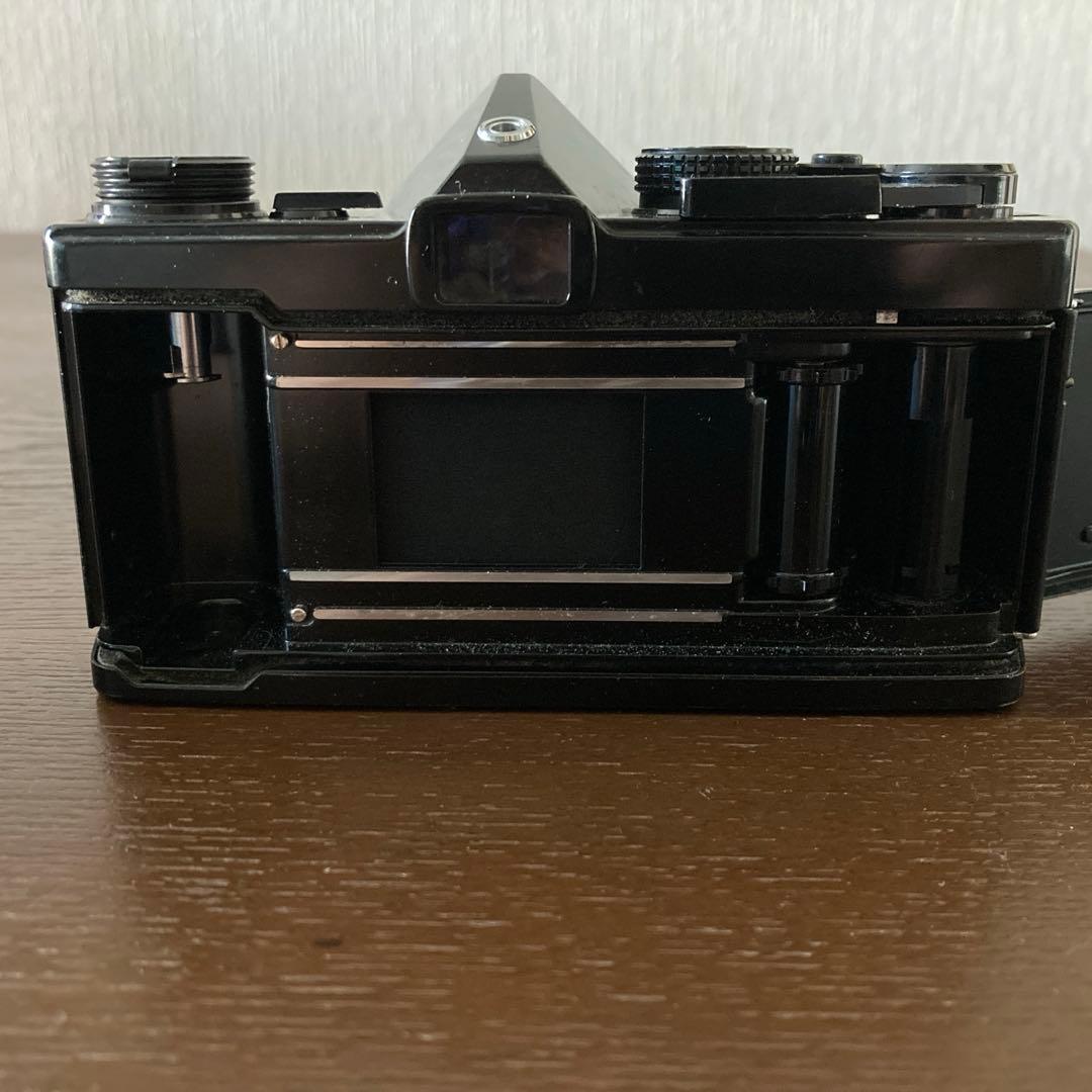 OM-1 /OLYMPUS /オリンパス