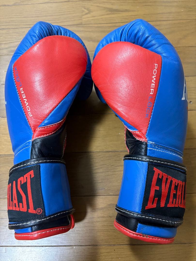 Everlast パワーロック トレーニンググローブ 14オンス