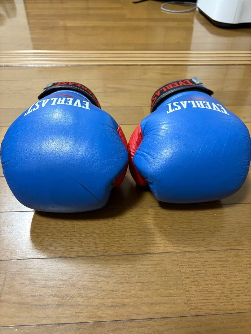 Everlast パワーロック トレーニンググローブ 14オンス