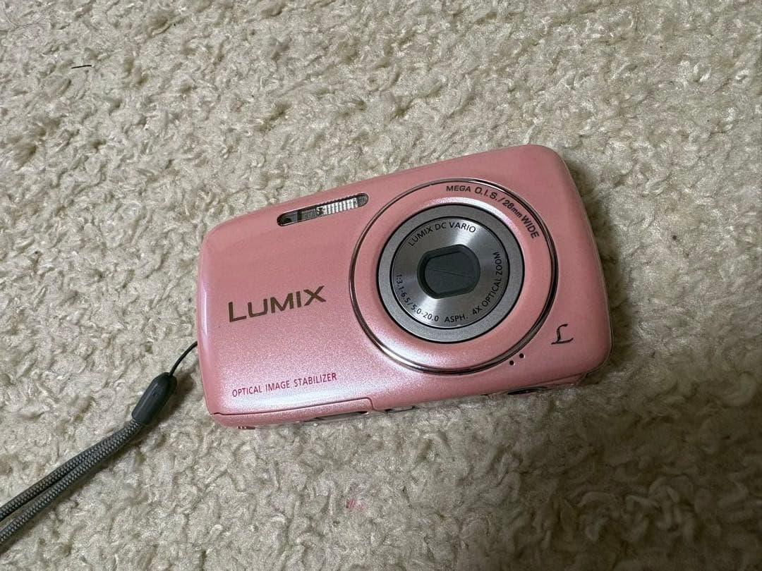 Panasonic Lumix S1 ピンク 本体と付属品