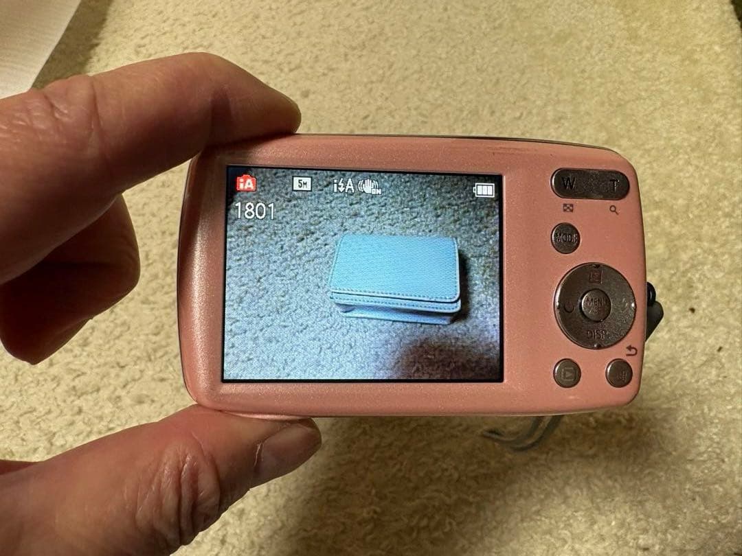 Panasonic Lumix S1 ピンク 本体と付属品