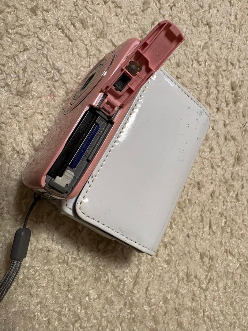 Panasonic Lumix S1 ピンク 本体と付属品