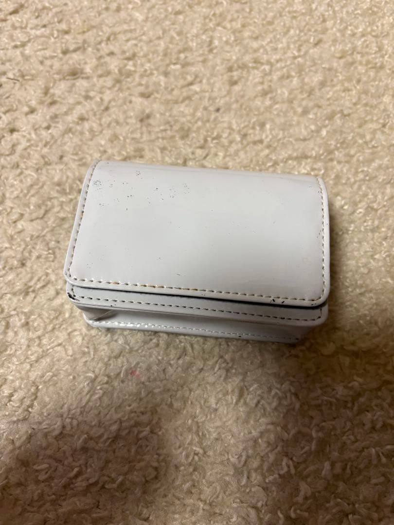 Panasonic Lumix S1 ピンク 本体と付属品