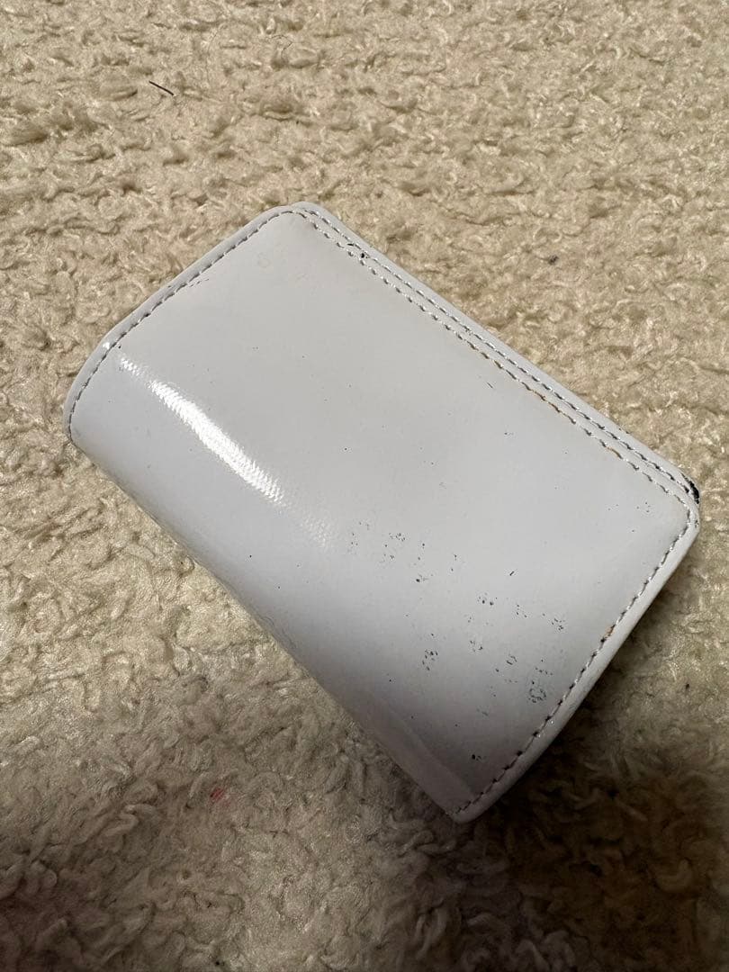 Panasonic Lumix S1 ピンク 本体と付属品