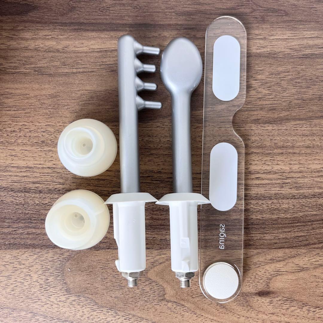 【動作品】saqina サキナ ルルシェ 美顔器 スチーム 定価325,700円