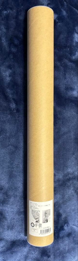 ヒロアカ　原画展　A2アートポスター2枚セット　The Beginning