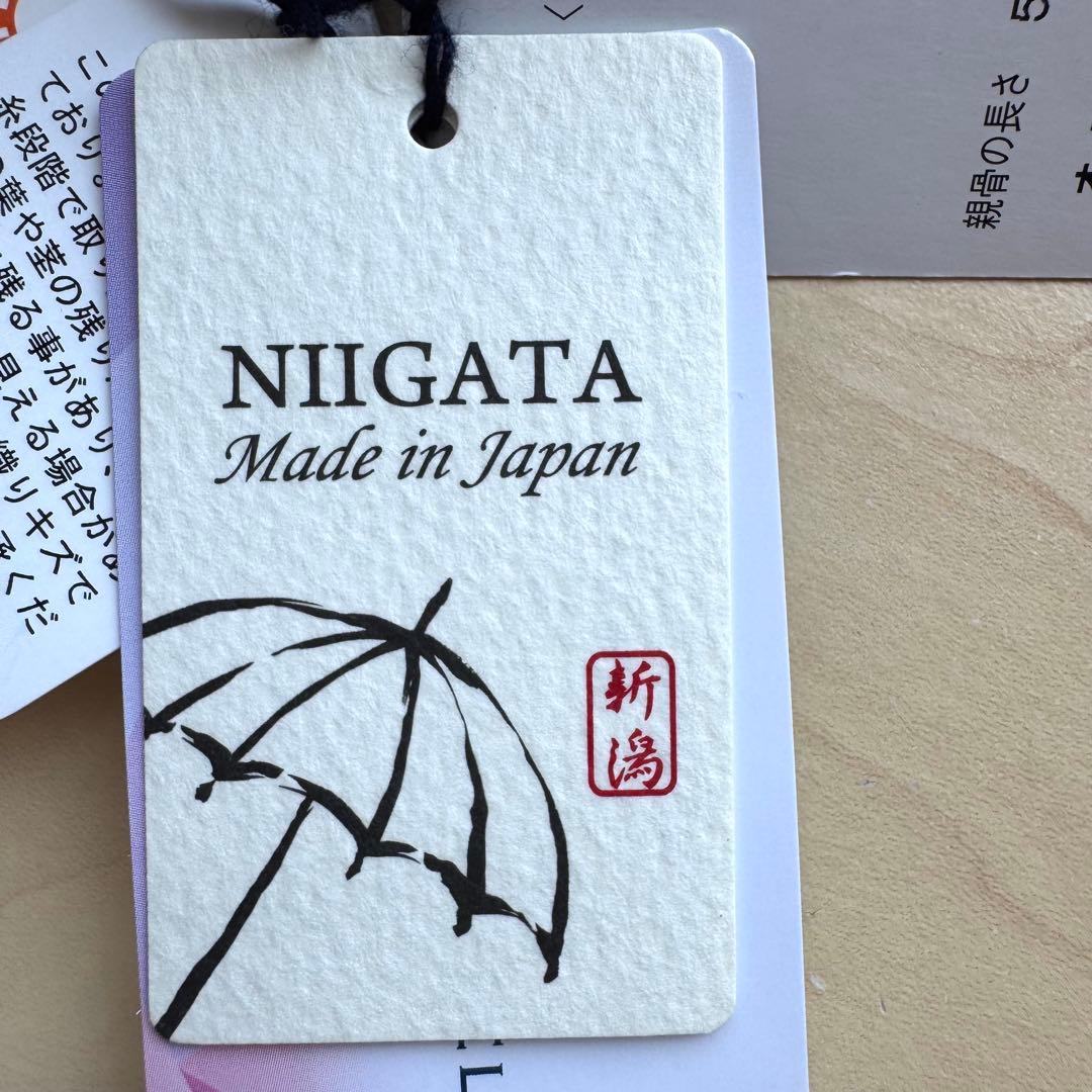 ★新品★Blao 晴雨兼用 日傘　１級遮光　遮熱　サマーシールド　軽量　日本製