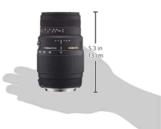 その他 SIGMA 70-300F4-5.6DG MACRO/C