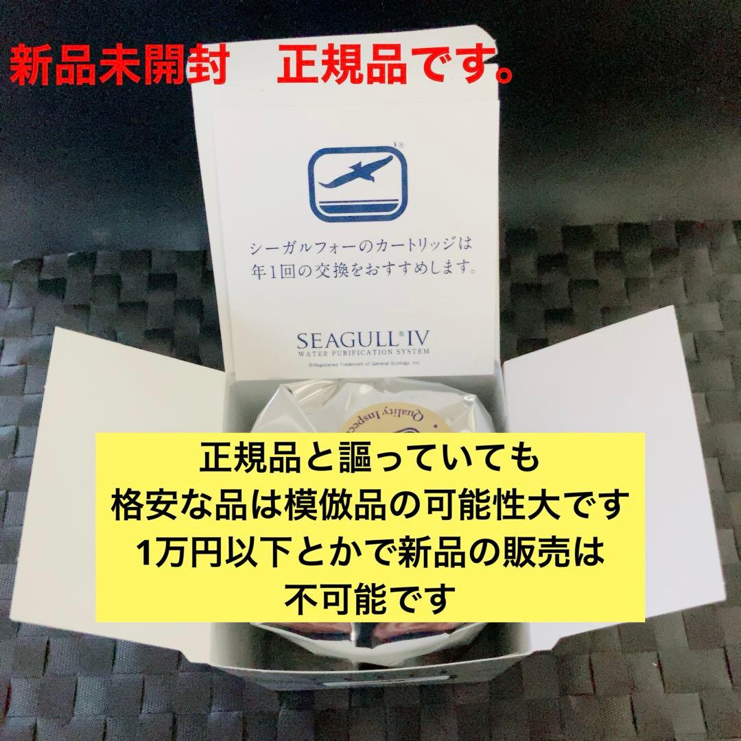 SEAGULL IV RS-1SGE 浄水器カートリッジ 新品未開封　正規品