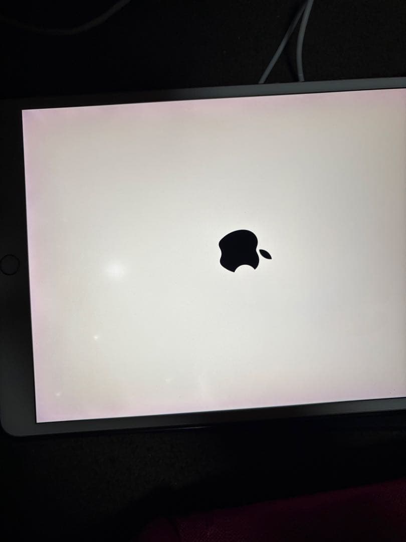 iPad本体 iPadpro 10.5