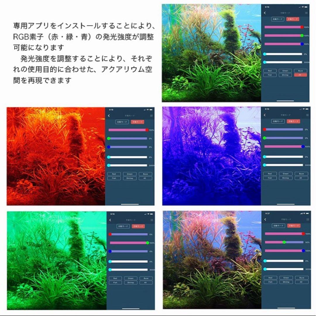 レア　chihiros RGB VIVID2 10thアニバーサリーエディション