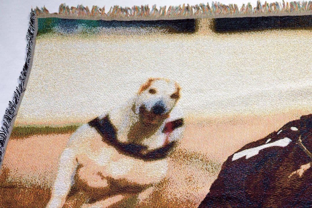 新品犬のレース グラフィックラグ 150cm x 125cm